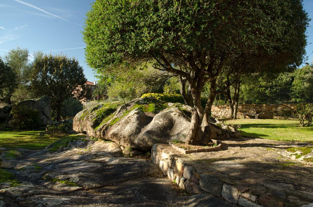 B&B Li Conchi Arzachena Exteriör bild
